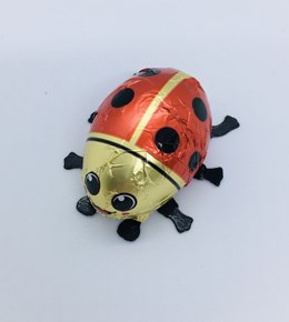 Choc ladybird.jpg